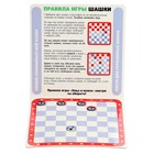 Настольная игра «Шашки» + «Овца и волки», магнитная - фото 27188358