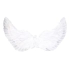 Карнавальные крылья 30 × 60, цвета МИКС - фото 5025925