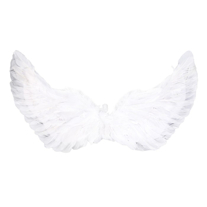 Карнавальные крылья 30 × 60, цвета МИКС - Фото 1