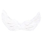 Карнавальные крылья 30 × 60, цвета МИКС - Фото 2