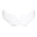 Карнавальные крылья 35 × 80 см - фото 5574661