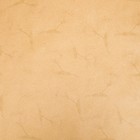 Бумага упаковочная крафт "Нежные тюльпаны", 70 х 100 см - Фото 5