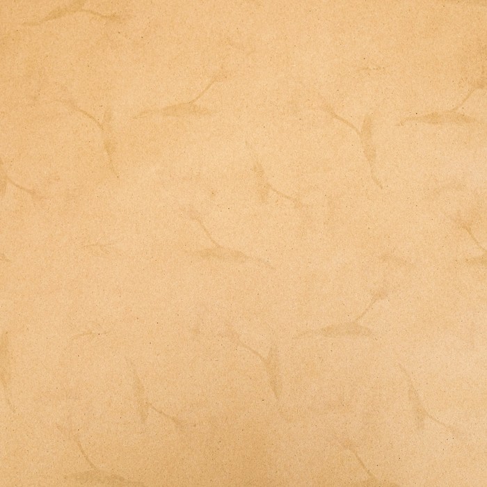 Бумага упаковочная крафт "Нежные тюльпаны", 70 х 100 см - фото 1909064461