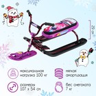 Снегокат Nika Snowdrive, СНД1/SL, цвет фиолетовый/чёрный/бордовый - фото 5318858