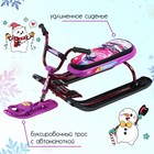 Снегокат Nika Snowdrive, СНД1/SL, цвет фиолетовый/чёрный/бордовый - фото 5318859