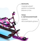 Снегокат Nika Snowdrive, СНД3/SL, цвет фиолетовый/чёрный/бордовый - Фото 3