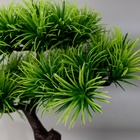 Бонсай искусственный в горшке «Агава прямая», 27×25 см - Фото 3