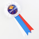 Значок - орден на Выпускной «Выпускник», d = 6,7 см - фото 9147113