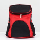 Рюкзак для переноски животных, 31,5 х 25 х 33 см, красный - Фото 2