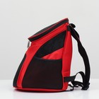 Рюкзак для переноски животных, 31,5 х 25 х 33 см, красный - Фото 3