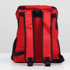 Рюкзак для переноски животных, 31,5 х 25 х 33 см, красный - Фото 4