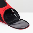 Рюкзак для переноски животных, 31,5 х 25 х 33 см, красный - Фото 5
