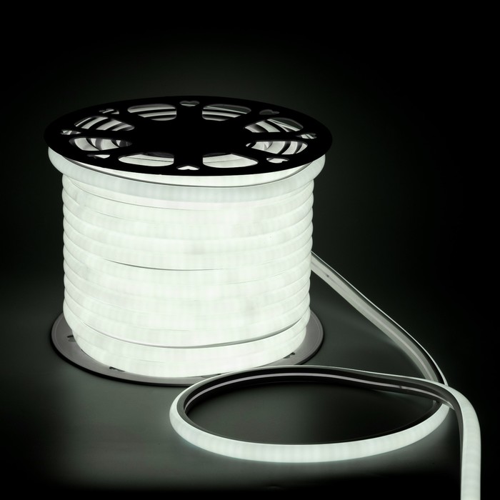 Гибкий неон Luazon Lighting 16 мм D-образный, IP65, 50 м, SMD2835, 120 LED/м, 220 В, свечение белое - Фото 1