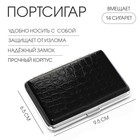 Портсигар на 14 сигарет, 9.5×6.5×2 см - Фото 1