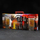 Набор «Герб России», 6 стопок 50 мл, 2 кружки 500 мл, пепельница - фото 34396818