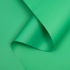 Пленка матовая, базовые цвета, зелёная, 57см*10м - фото 286920054