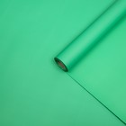 Пленка матовая, базовые цвета, зелёная, 57см*10м - фото 7799224