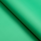 Пленка матовая, базовые цвета, зелёная, 57см*10м - фото 7799225