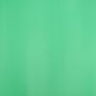 Пленка матовая, базовые цвета, зелёная, 57см*10м - фото 7799226