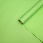 Пленка матовая, неоновые цвета, зелёная, 57см*10м - фото 7799228