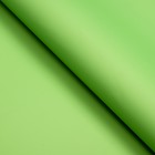 Пленка матовая, неоновые цвета, зелёная, 57см*10м - Фото 3