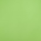 Пленка матовая, неоновые цвета, зелёная, 57см*10м - фото 7799230