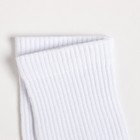 Носки, цвет белый, размер 23-25 (37-40) - фото 46315080