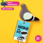 Леденец «Наплюй на всё», вкус: черника, 12 г. 9322185 - фото 10175496