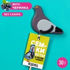 Леденец «Семки есть?», вкус: черника, 12 г. 9322186 - фото 10175500