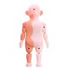 УЦЕНКА Набор для опытов «Научный набор 2В1», модель тела человека и лабораторная посуда 9460788