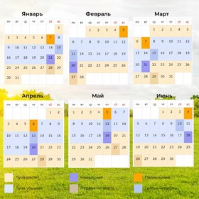 Семена Редис "18 дней", ц/п,  3 г  набор 2 шт