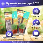 Семена Трава для кошек, 10 г набор 2 шт - фото 319209944