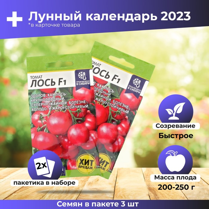 Помидоры лось фото отзывы описание Помидоры лось фото отзывы описание