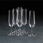Набор бокалов для шампанского Apus, 210 мл, 6 шт - фото 300500032
