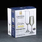 Набор бокалов для шампанского Apus, 210 мл, 6 шт - фото 4368866