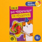 Леденец на подложке «Всё обязательно не сбудется», вкус: манго, 15 г. 9278623 - фото 10176996