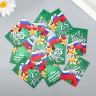 Бирка картон "23 февраля. Флаг" набор 10 шт (5 видов) 4х6 см - фото 23427469