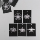 Набор бирок для подарков, цветов «Настоящему мужчине», 10 шт. (5 видов), 4×6 см, картон, МИКС 9396064