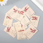 Бирка картон "Самолёты" набор 10 шт (5 видов) 4х6 см - фото 22896340