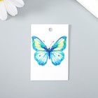 Бирка "Бабочка голубая" 4х6 см - фото 283157700