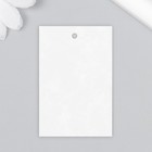 Бирка "Мускари в конверте" 4х6 см - Фото 3