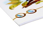 Альбом для рисования А4, 20 листов на клею ErichKrause Birds, обложка мелованный картон, жёсткая подложка, блок 120 г/м2 - Фото 3