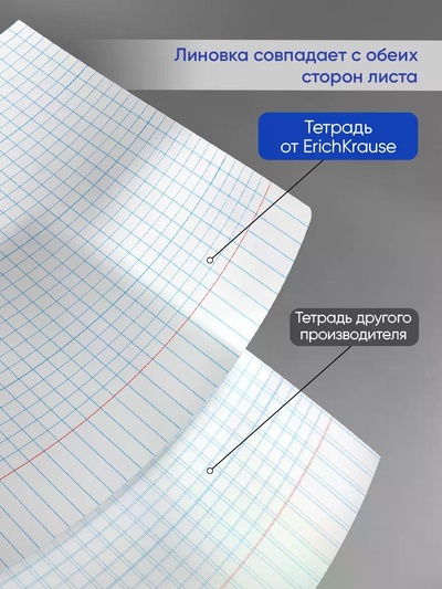Тетрадь А4, 48 листов в клетку ErichKrause «Классика», обложка мелованный картон, блок офсет 100% белизна, МИКС