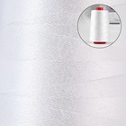 Нитки мешкозашивочные «Эконом», 150 текс, 1000 м, цвет белый - Фото 2