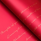 Пленка в листах для цветов и букетов, «Мысли о тебе...», винный, 65 мкм, 58×58 см - Фото 2