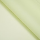 Пленка листах 57x57см, светло-зелёный - Фото 2