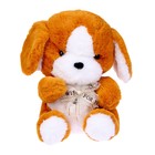 Мягкая игрушка «Пёсик с бантом», цвета МИКС - фото 319212390