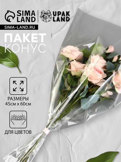 Пакет для цветов, конус, 12+45×60 см, прозрачный