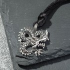 Кулон-амулет "Дракон", цвет чернёное серебро, 37 см - фото 10179003