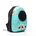 Рюкзак для переноски кошек и собак «Ромашка», 32×26×44 см, с окном - Фото 4